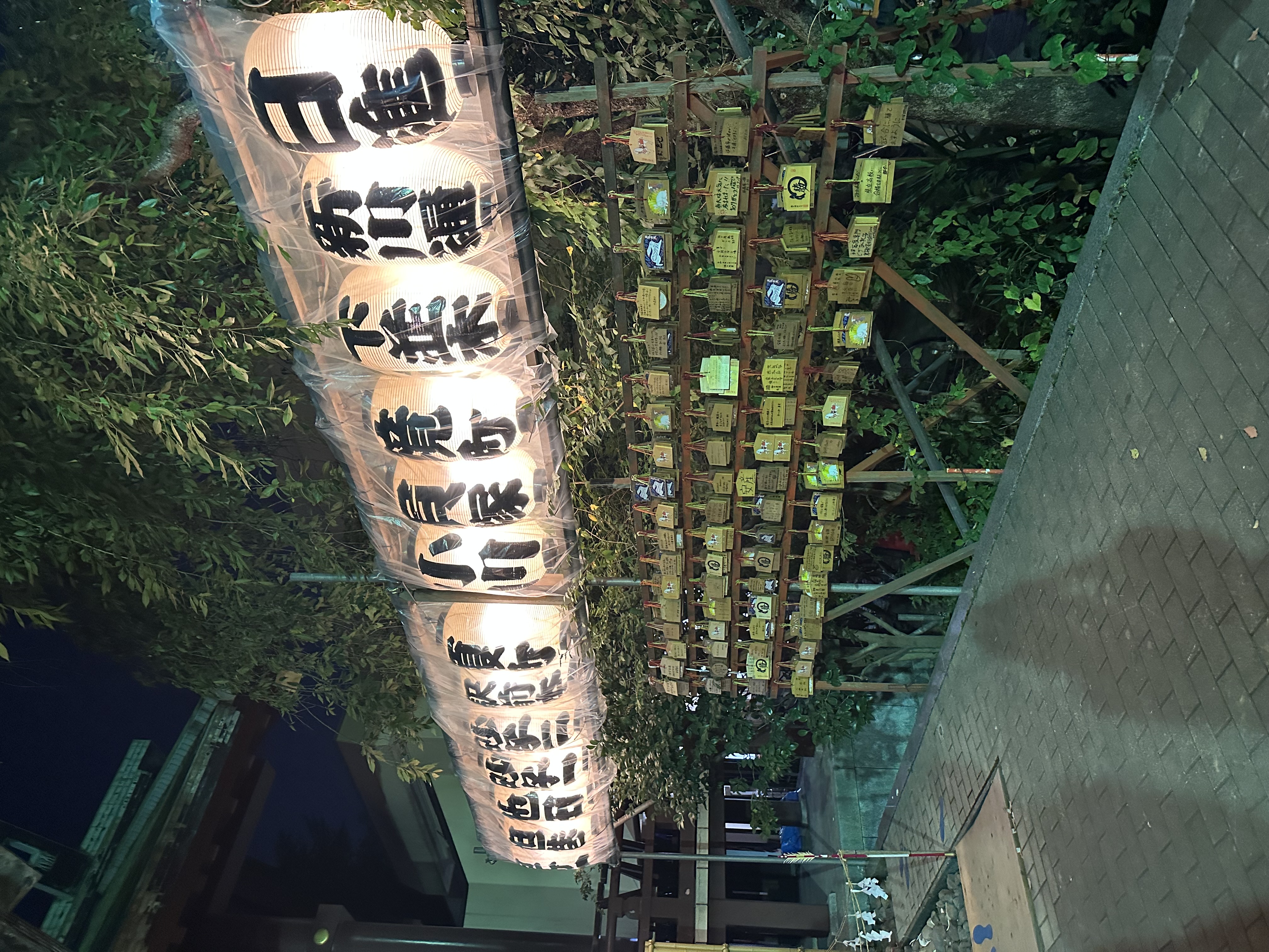 夏の風物詩のメイン画像