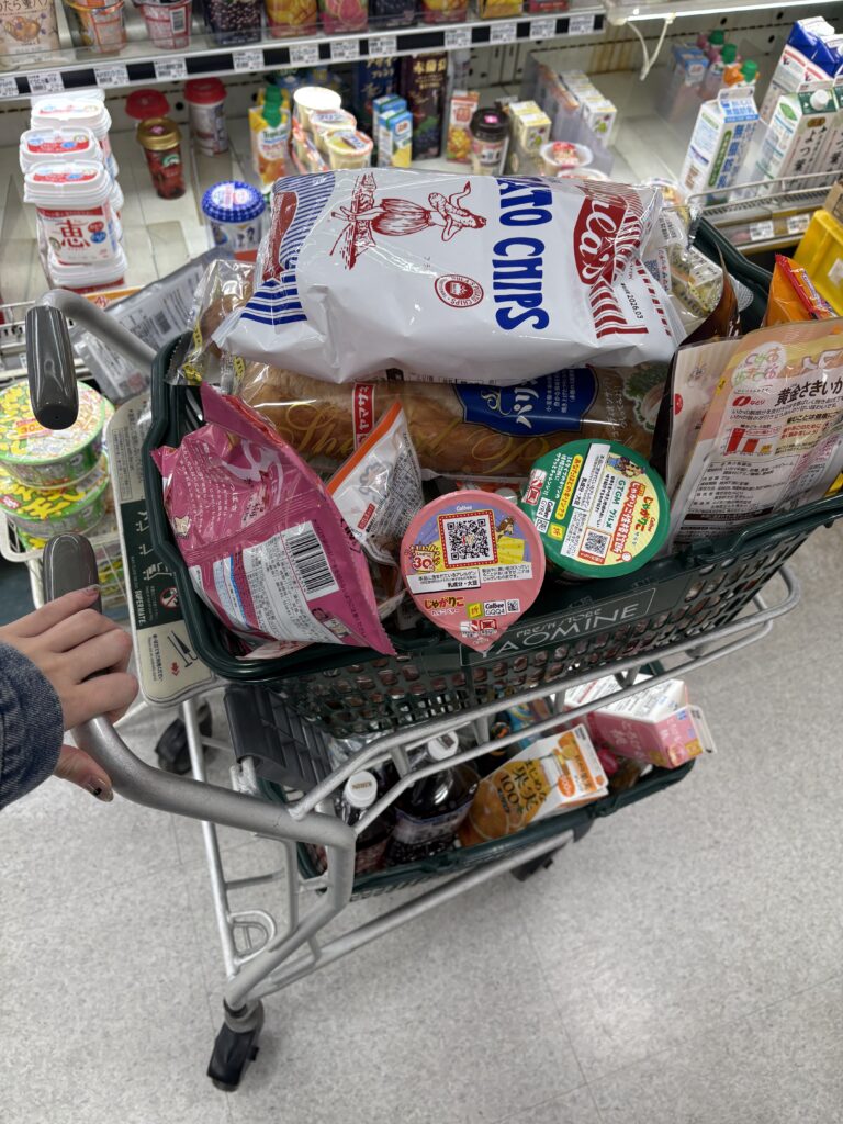 VANESSA旅行！のメイン画像